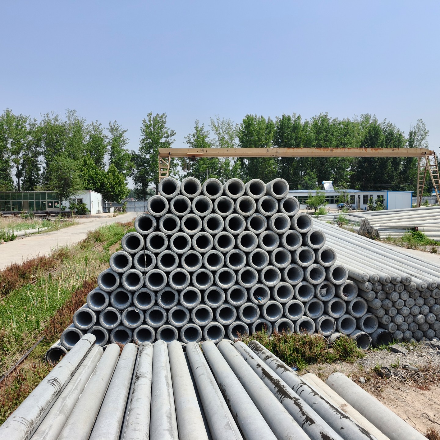 宁津190×10米水泥电线杆